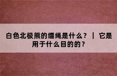 白色北极熊的缰绳是什么？｜ 它是用于什么目的的？